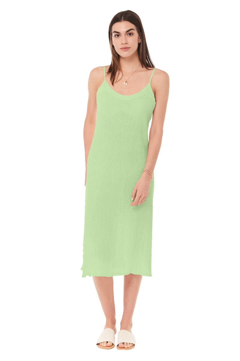 CELERY